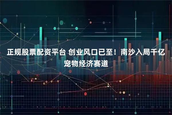 正规股票配资平台 创业风口已至！南沙入局千亿宠物经济赛道