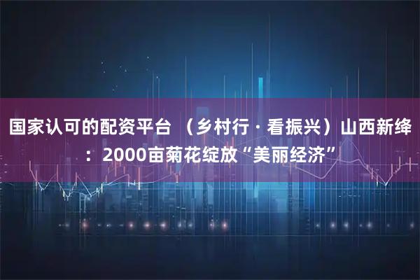 国家认可的配资平台 （乡村行 · 看振兴）山西新绛：2000亩菊花绽放“美丽经济”
