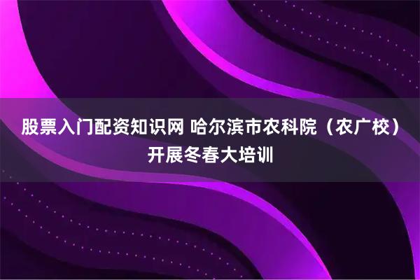 股票入门配资知识网 哈尔滨市农科院（农广校）开展冬春大培训